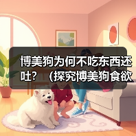 博美狗为何不吃东西还吐?(探究博美狗食欲不振和呕吐的原因及应对方法)(图1) 博美狗为何不吃东西还吐?(探究博美狗食欲不振和呕吐的原因及应对方法)(图1)