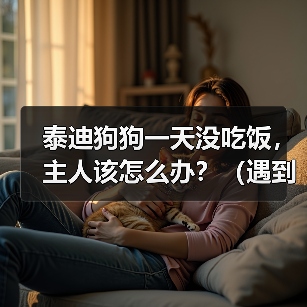 泰迪狗狗一天没吃饭，主人该怎么办？（遇到狗狗不吃饭的情况，要及时采取措施）（图1）