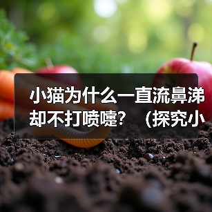 小猫为什么一直流鼻涕却不打喷嚏？（探究小猫流鼻涕的原因和处理方法）（图3）