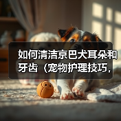 如何清洁京巴犬耳朵和牙齿（宠物护理技巧，提高京巴犬健康指数）（图2）