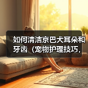 如何清洁京巴犬耳朵和牙齿（宠物护理技巧，提高京巴犬健康指数）（图4）