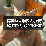 博美幼犬半夜大小便的解决方法（如何让你的博美幼犬养成良好的大小便习惯）（图1）