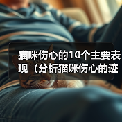 猫咪伤心的10个主要表现（分析猫咪伤心的迹象及如何帮助它们恢复正常）（图3）