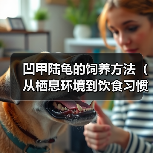 凹甲陆龟的饲养方法(从栖息环境到饮食习惯,全面了解凹甲陆龟饲养方法)(图1) 凹甲陆龟的饲养方法(从栖息环境到饮食习惯,全面了解凹甲陆龟饲养方法)(图1)