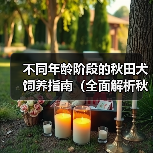 不同年龄阶段的秋田犬饲养指南(全面解析秋田犬在不同年龄阶段的饲养要点与技巧)(图2) 不同年龄阶段的秋田犬饲养指南(全面解析秋田犬在不同年龄阶段的饲养要点与技巧)(图2)