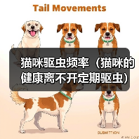 猫咪驱虫频率(猫咪的健康离不开定期驱虫)(图4) 猫咪驱虫频率(猫咪的健康离不开定期驱虫)(图4)