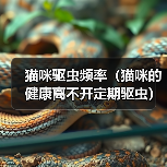 猫咪驱虫频率指南，科学养护从定期驱虫开始