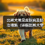 比熊犬常见皮肤病及防治措施（详解比熊犬常见皮肤病种类和预防方法）（图4）