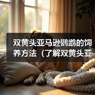 双黄头亚马逊鹦鹉的饲养方法（了解双黄头亚马逊鹦鹉，创造温馨家园）（图4）