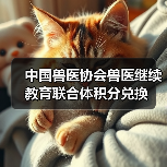 中国兽医协会兽医继续教育联合体积分兑换(图4) 中国兽医协会兽医继续教育联合体积分兑换(图4)