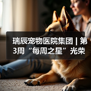 瑞辰宠物医院集团 | 第3周“每周之星”光荣榜（图3）