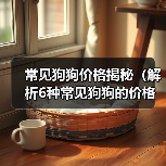 常见狗狗价格揭秘（解析6种常见狗狗的价格及入手要点）（图1）