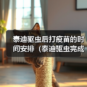 泰迪驱虫后打疫苗的时间安排（泰迪驱虫完成后接种疫苗的最佳时间选择）（图4）