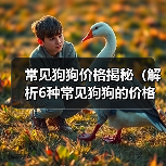 常见狗狗价格揭秘（解析6种常见狗狗的价格及入手要点）（图3）