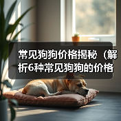 常见狗狗价格揭秘（解析6种常见狗狗的价格及入手要点）（图4）