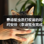 泰迪驱虫后打疫苗的时间安排（泰迪驱虫完成后接种疫苗的最佳时间选择）（图2）