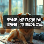 泰迪驱虫后打疫苗的时间安排（泰迪驱虫完成后接种疫苗的最佳时间选择）（图3）