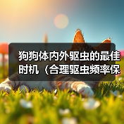 狗狗体内外驱虫的最佳时机（合理驱虫频率保护宠物健康）（图4）