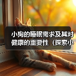 小狗的睡眠需求及其对健康的重要性（探索小狗睡眠模式与健康之间的关系）（图3）