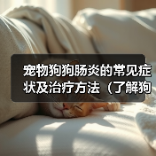 宠物狗狗肠炎的常见症状及治疗方法(了解狗狗肠炎,呵护宠物健康)(图2) 宠物狗狗肠炎的常见症状及治疗方法(了解狗狗肠炎,呵护宠物健康)(图2)