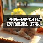 小狗的睡眠需求及其对健康的重要性（探索小狗睡眠模式与健康之间的关系）（图2）