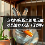 宠物狗狗肠炎的常见症状及治疗方法(了解狗狗肠炎,呵护宠物健康)(图4) 宠物狗狗肠炎的常见症状及治疗方法(了解狗狗肠炎,呵护宠物健康)(图4)