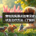 宠物狗狗肠炎的常见症状及治疗方法(了解狗狗肠炎,呵护宠物健康)(图3) 宠物狗狗肠炎的常见症状及治疗方法(了解狗狗肠炎,呵护宠物健康)(图3)