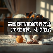 美国卷耳猫的饲养方法(关注细节,让你的爱猫更健康)(图2) 美国卷耳猫的饲养方法(关注细节,让你的爱猫更健康)(图2)