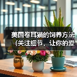 美国卷耳猫的饲养方法(关注细节,让你的爱猫更健康)(图1) 美国卷耳猫的饲养方法(关注细节,让你的爱猫更健康)(图1)