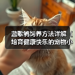 蓝歌鸲饲养方法详解（培育健康快乐的宠物小鸟）（图2）