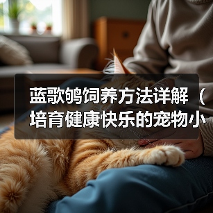 蓝歌鸲饲养方法详解（培育健康快乐的宠物小鸟）（图4）