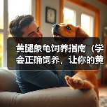 黄腿象龟饲养指南(学会正确饲养,让你的黄腿象龟更健康)(图3) 黄腿象龟饲养指南(学会正确饲养,让你的黄腿象龟更健康)(图3)