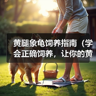 黄腿象龟饲养指南(学会正确饲养,让你的黄腿象龟更健康)(图4) 黄腿象龟饲养指南(学会正确饲养,让你的黄腿象龟更健康)(图4)