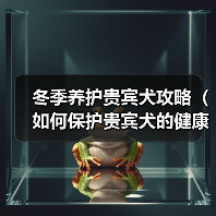 冬季养护贵宾犬攻略（如何保护贵宾犬的健康和舒适）（图3）
