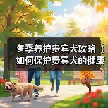 冬季养护贵宾犬攻略（如何保护贵宾犬的健康和舒适）（图1）