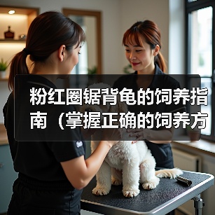 粉红圈锯背龟的饲养指南（掌握正确的饲养方法，让你的粉红圈锯背龟健康成长）（图2）