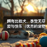拥有比格犬,享受无尽爱与快乐(优秀的宠物,从一只忠诚的比格犬开始)(图3) 拥有比格犬,享受无尽爱与快乐(优秀的宠物,从一只忠诚的比格犬开始)(图3)