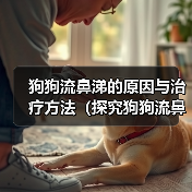 狗狗流鼻涕的原因与治疗方法（探究狗狗流鼻涕的原因以及如何帮助狗狗缓解鼻塞）（图4）
