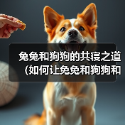 兔兔和狗狗的共寝之道（如何让兔兔和狗狗和谐共处）（图4）