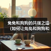 兔兔和狗狗的共寝之道（如何让兔兔和狗狗和谐共处）（图3）