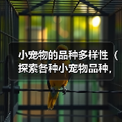 小宠物的品种多样性(探索各种小宠物品种,享受它们带来的快乐)(图2) 小宠物的品种多样性(探索各种小宠物品种,享受它们带来的快乐)(图2)