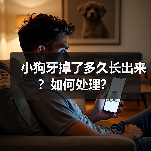 小狗牙掉了多久长出来?如何处理?(图1) 小狗牙掉了多久长出来?如何处理?(图1)
