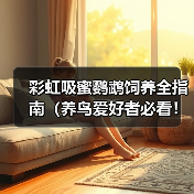 彩虹吸蜜鹦鹉饲养全指南(养鸟爱好者必看!一文教你如何照顾你的彩虹吸蜜鹦鹉)(图2) 彩虹吸蜜鹦鹉饲养全指南(养鸟爱好者必看!一文教你如何照顾你的彩虹吸蜜鹦鹉)(图2)
