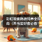 彩虹吸蜜鹦鹉饲养全指南(养鸟爱好者必看!一文教你如何照顾你的彩虹吸蜜鹦鹉)(图4) 彩虹吸蜜鹦鹉饲养全指南(养鸟爱好者必看!一文教你如何照顾你的彩虹吸蜜鹦鹉)(图4)