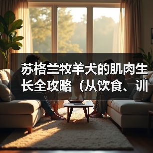 苏格兰牧羊犬的肌肉生长全攻略(从饮食、训练到日常保健,让你的宠物变成肌肉大汉)(图4) 苏格兰牧羊犬的肌肉生长全攻略(从饮食、训练到日常保健,让你的宠物变成肌肉大汉)(图4)