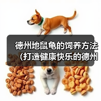 德州地鼠龟的饲养方法（打造健康快乐的德州地鼠龟生活）（图1）