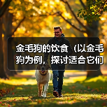 金毛狗的饮食（以金毛狗为例，探讨适合它们的膳食搭配，以青菜为主的好处）（图2）
