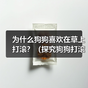 为什么狗狗喜欢在草上打滚？（探究狗狗打滚的原因与好处，让你更加了解宠物狗）（图1）