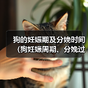 狗的妊娠期及分娩时间（狗妊娠周期、分娩过程及相关注意事项）（图4）