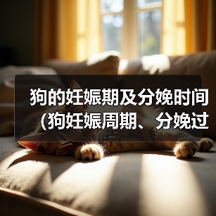 狗的妊娠期及分娩时间（狗妊娠周期、分娩过程及相关注意事项）（图2）